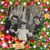 Louanne Foth Crandall's profile image