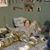 Carrie Mitchell's profile image