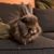 Matt Giesse's profile image