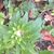 Mary Brown Beroza's profile image