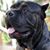 William Becerra's profile image