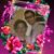 Suzy Caraballo's profile image