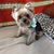 Juanita Albright's profile image