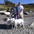 Lori F Shoemaker's profile image