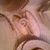 Shelly DeWitt's profile image