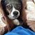 Michael Scolaro's profile image