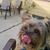 Annette Smoody's profile image