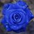 Jane Guillot's profile image