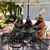Mary Jo Conibear-Lohrenz's profile image
