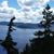 Diane Lewis's profile image