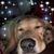 Leslie Blanchard Duerr's profile image