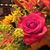 Barb Vogl's profile image