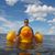 Jason Mallory's profile image