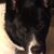 Nancy Reuss Gruver's profile image