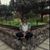 Elda San Jose's profile image