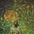 Roland Byaruhanga's profile image
