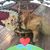 Sandy Spinella Lindbergh's profile image
