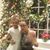 Patricia Liebetrau Green's profile image