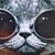John Krias's profile image