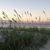 Carolyn Taylor Buzzard's profile image