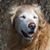 Cindy Brozenske's profile image