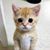 Betty Slocum Hoy's profile image