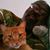 Christophe G Massey's profile image