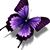 Marie Wirfs's profile image
