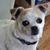 Bettie Jane Crandall's profile image