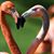 Marlene Phipps Stafford's profile image