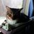 Beverly H Brittain's profile image