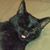 Jackie Reese's profile image