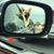 Barry Stover's profile image