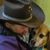 Peg Van Siclen's profile image