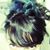 Cristina Hittson's profile image