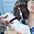 Leslie Garrett's profile image