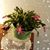 Sabra Bailey Breslin's profile image