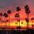 Yolanda DelCastillo Gliko's profile image