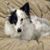 Beverly Greenawalt-Spece's profile image