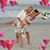 Cindy Sullivan Porter's profile image