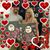 Terri Bilyeu-Brown's profile image