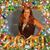 Terri Benhardt Brancato's profile image