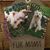 Brenda Barksdale Harcrow's profile image