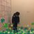 Gerson Culbert's profile image