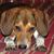 Darlene Patterson's profile image