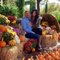 Viviana G.'s profile image