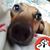 Milli Gryca's profile image
