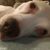 Scott Lemmerman's profile image