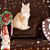 Mandy Luby's profile image