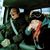 Amy Eastin's profile image